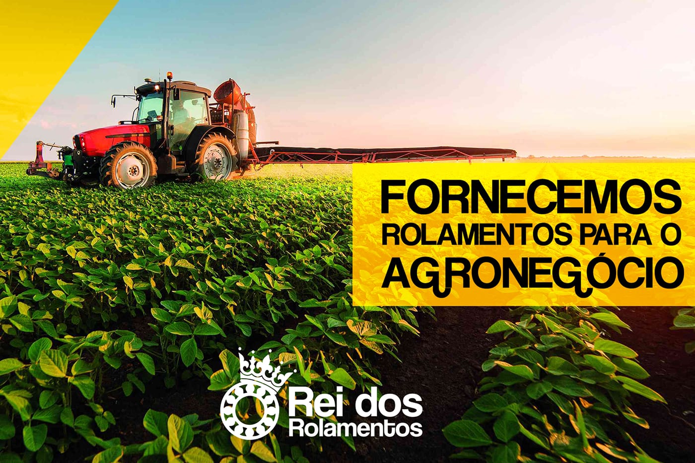 rei dos rolamentos agronegocio